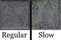 Coyote Glaze - MBG070 - Pam's Blue - 1 Pint